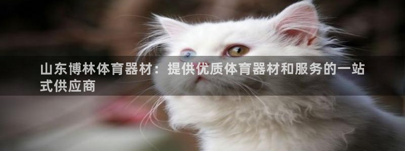 耀世开业是什么意思：山东博林体育器材：提供优质体育器