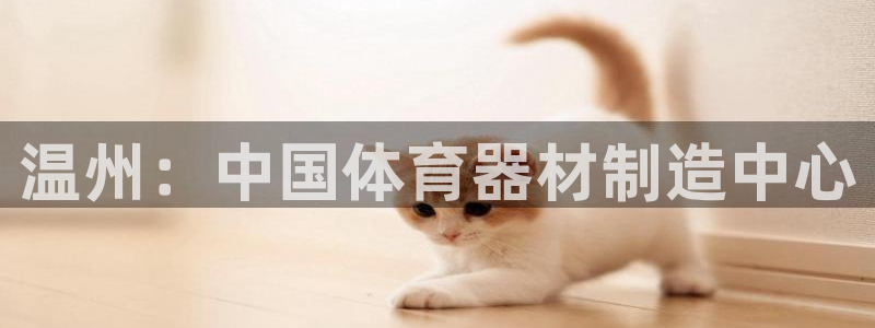 耀世挑战第二关怎么过：温州：中国体育器材制造中心