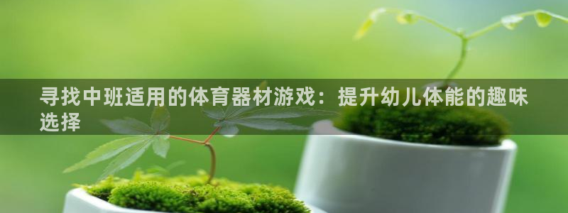 耀世集团王大聪图片：寻找中班适用的体育器材游戏：提升