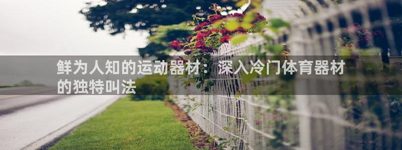 耀世娱乐百科最新：鲜为人知的运动器材：深入冷门体育器