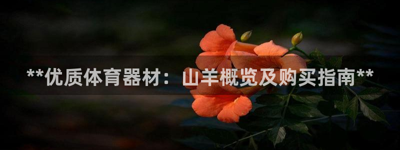 耀世娱乐间7O777：**优质体育器材：山羊概览及购