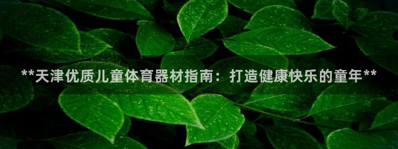 耀世娱乐好不好做：**天津优质儿童体育器材指南：打造