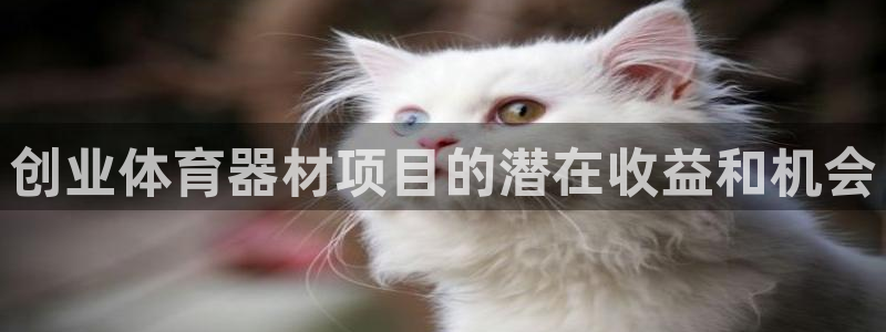 耀世娱乐下载链接安装不了：创业体育器材项目的潜在收益