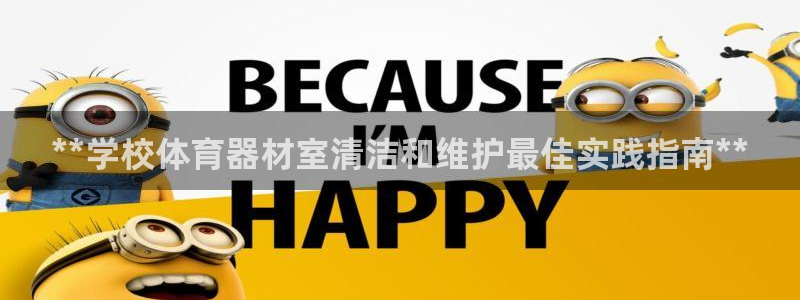 耀世辉煌：**学校体育器材室清洁和维护最佳实践指南*