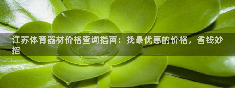耀世娱乐安全吗：江苏体育器材价格查询指南：找最优惠的