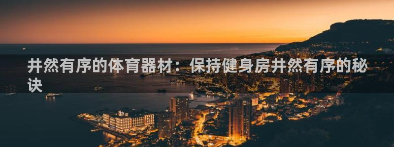 耀世娱乐辅助软件下载：井然有序的体育器材：保持健身房