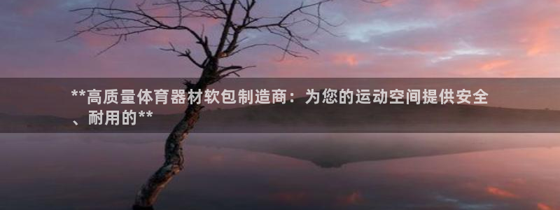 耀世平台：**高质量体育器材软包制造商：为您的运动空