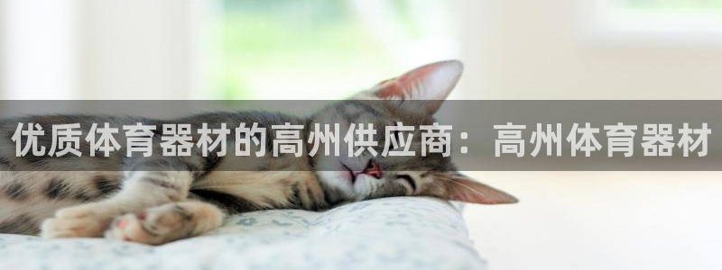 耀世平台注册网址：优质体育器材的高州供应商：高州体育