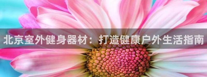 耀世的意思：北京室外健身器材：打造健康户外生活指南