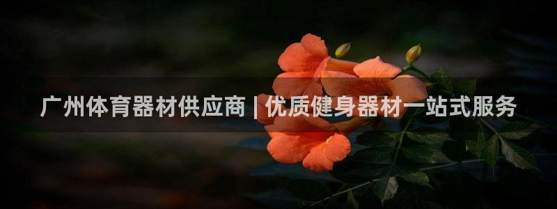 耀世平台注册网址查询：广州体育器材供应商 | 优质健