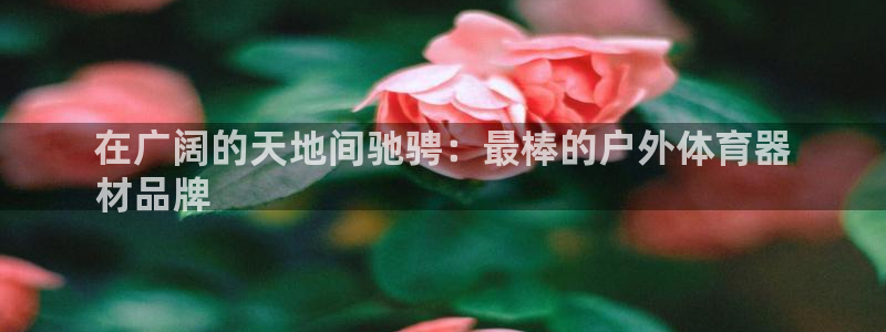 耀世平台马 5O6917 耀世：在广阔的天地间驰骋：