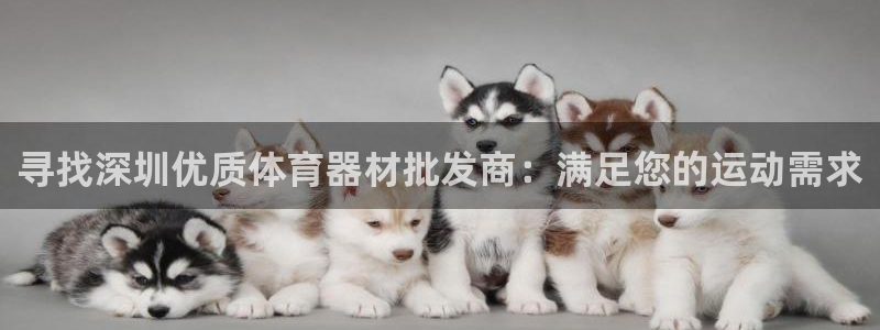耀世娱乐能提现吗现在：寻找深圳优质体育器材批发商：满