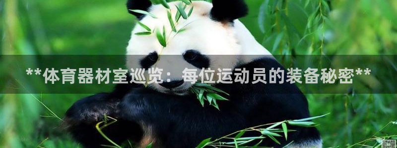 耀世平台木 5o69I7：**体育器材室巡览：每位运