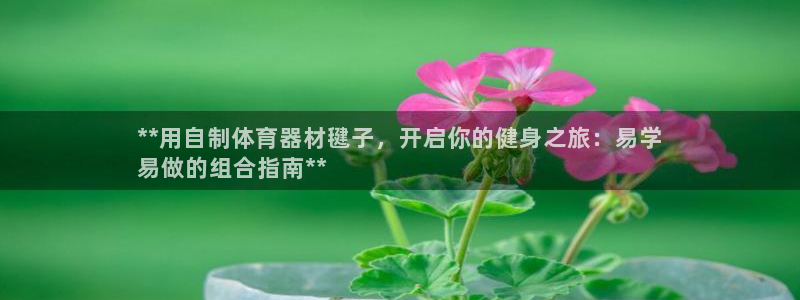 耀世娱乐挂机教程：**用自制体育器材毽子，开启你的健