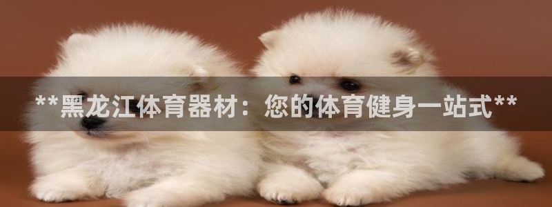 耀世娱乐app下载安装手机版：**黑龙江体育器材：您