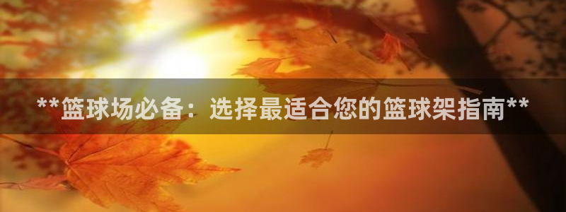 耀世微光mv：**篮球场必备：选择最适合您的篮球架指