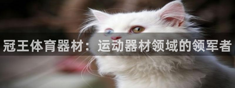 耀世平台负责人：冠王体育器材：运动器材领域的领军者