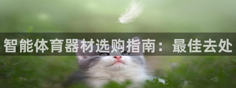 耀世平台先 585341 耀世：智能体育器材选购指南