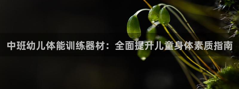 耀世平台注册流程图片：中班幼儿体能训练器材：全面提升