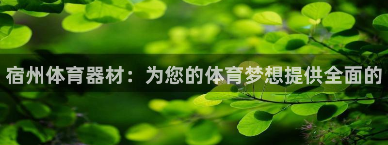 哪吒s耀世版价格：宿州体育器材：为您的体育梦想提供全