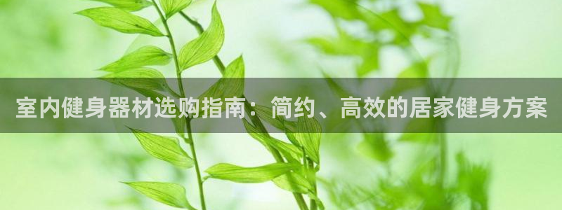 耀世娱乐登录注册不了：室内健身器材选购指南：简约、高