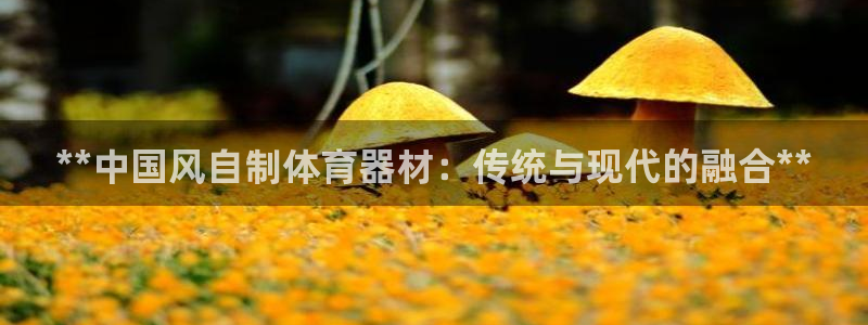 耀世平台注册开户：**中国风自制体育器材：传统与现代