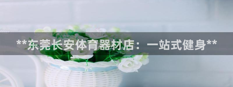 耀世开盘：**东莞长安体育器材店：一站式健身**