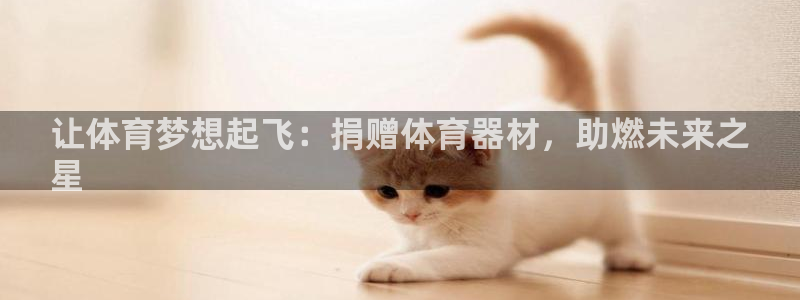 耀世启航什么意思：让体育梦想起飞：捐赠体育器材，助燃