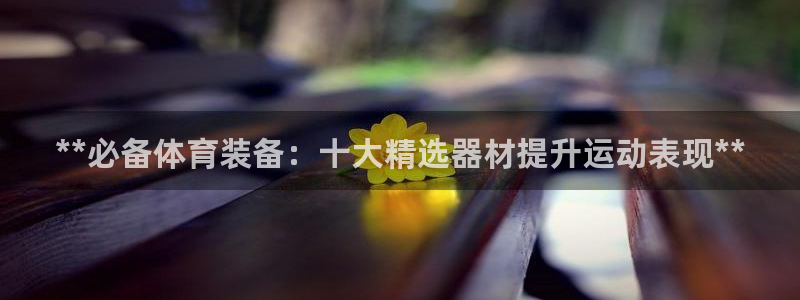 耀世娱乐创3.3.4.8.2菲特：**必备体育装备：