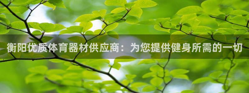 耀世挑战攻略：衡阳优质体育器材供应商：为您提供健身所