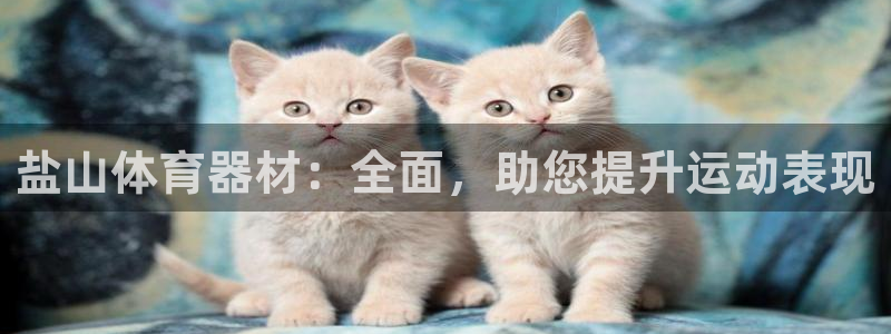 耀世娱乐平台官网登录：盐山体育器材：全面，助您提升运动表现