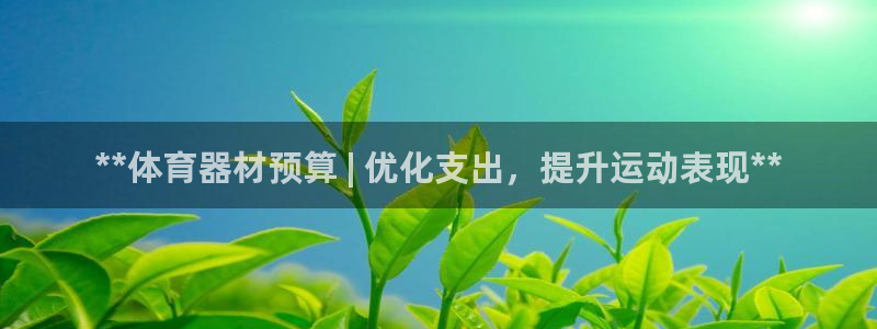 耀世x4：**体育器材预算 | 优化支出，提升运动表