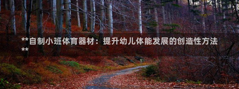 耀世娱乐联 585341：**自制小班体育器材：提升幼儿体能