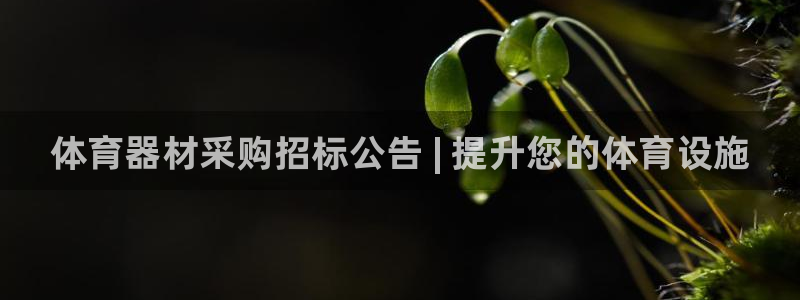 耀世娱乐佳 5O6917 娱乐：体育器材采购招标公告 | 提