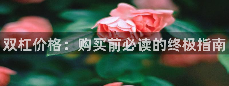耀世集团董事长儿子：双杠价格：购买前必读的终极指南