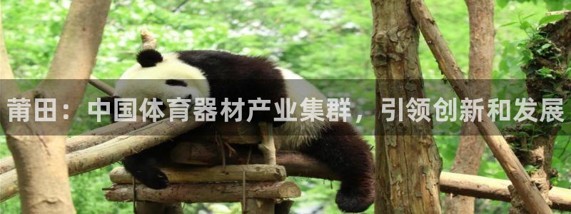 耀世娱乐挂机怎么玩：莆田：中国体育器材产业集群，引领创新和发