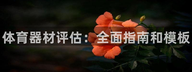 耀世盛典官网下载：体育器材评估：全面指南和模板