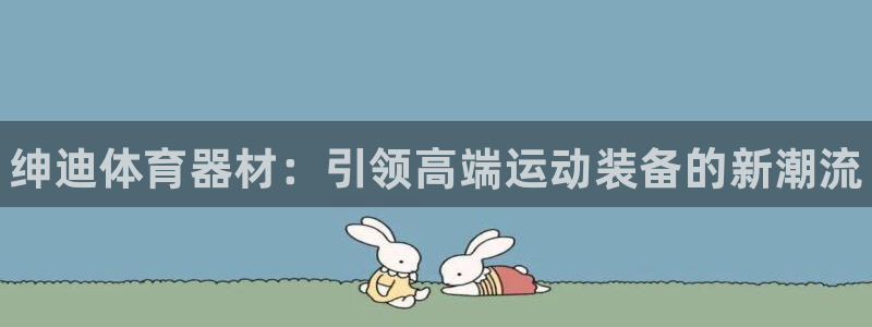 耀世的意思是什么：绅迪体育器材：引领高端运动装备的新