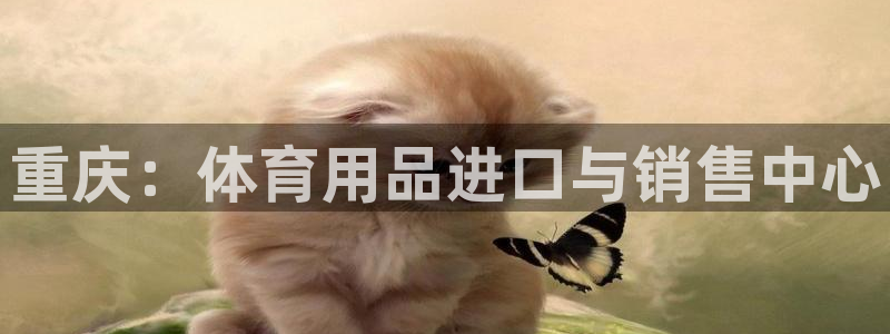 耀世平台人才：重庆：体育用品进口与销售中心