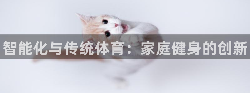 哪吒s耀世版价格：智能化与传统体育：家庭健身的创新