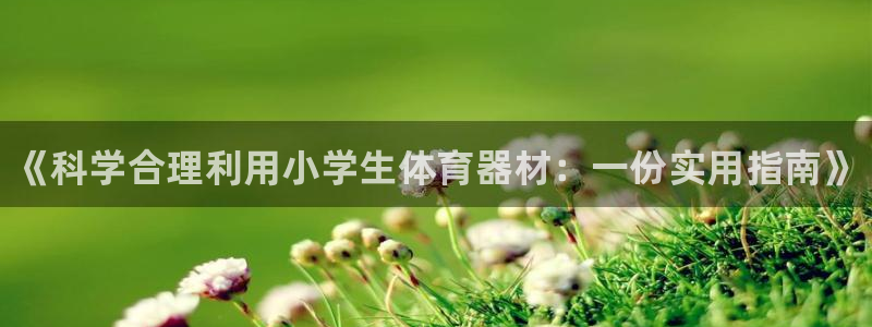 耀世娱乐官网首页登录入口：《科学合理利用小学生体育器