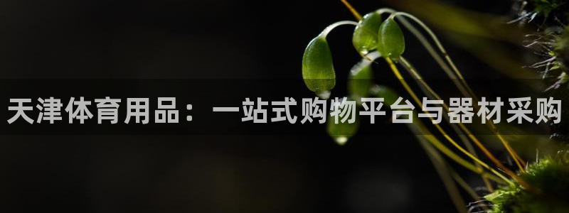 耀世平台最新注册地址在哪：天津体育用品：一站式购物平