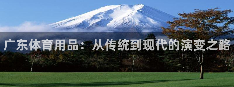 耀世平台云 411o31 耀世：广东体育用品：从传统