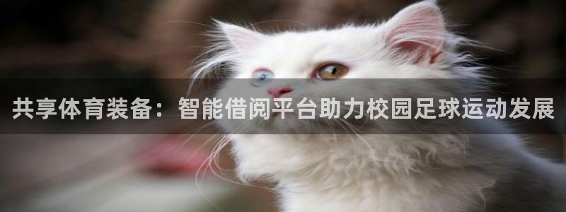 耀世娱乐如何登录账号啊：共享体育装备：智能借阅平台助力校园足